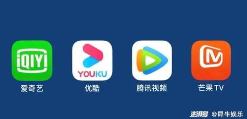 大秀视频国产精品中文字,大秀视频中的视觉盛宴